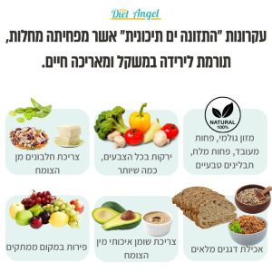 WhatsApp Image 2026-05-26 at 21.33.35
